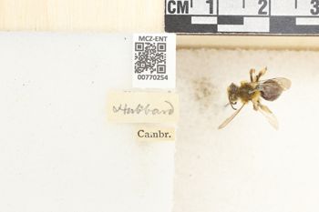 Media type: image;   Entomology 770254 Aspect: Labels